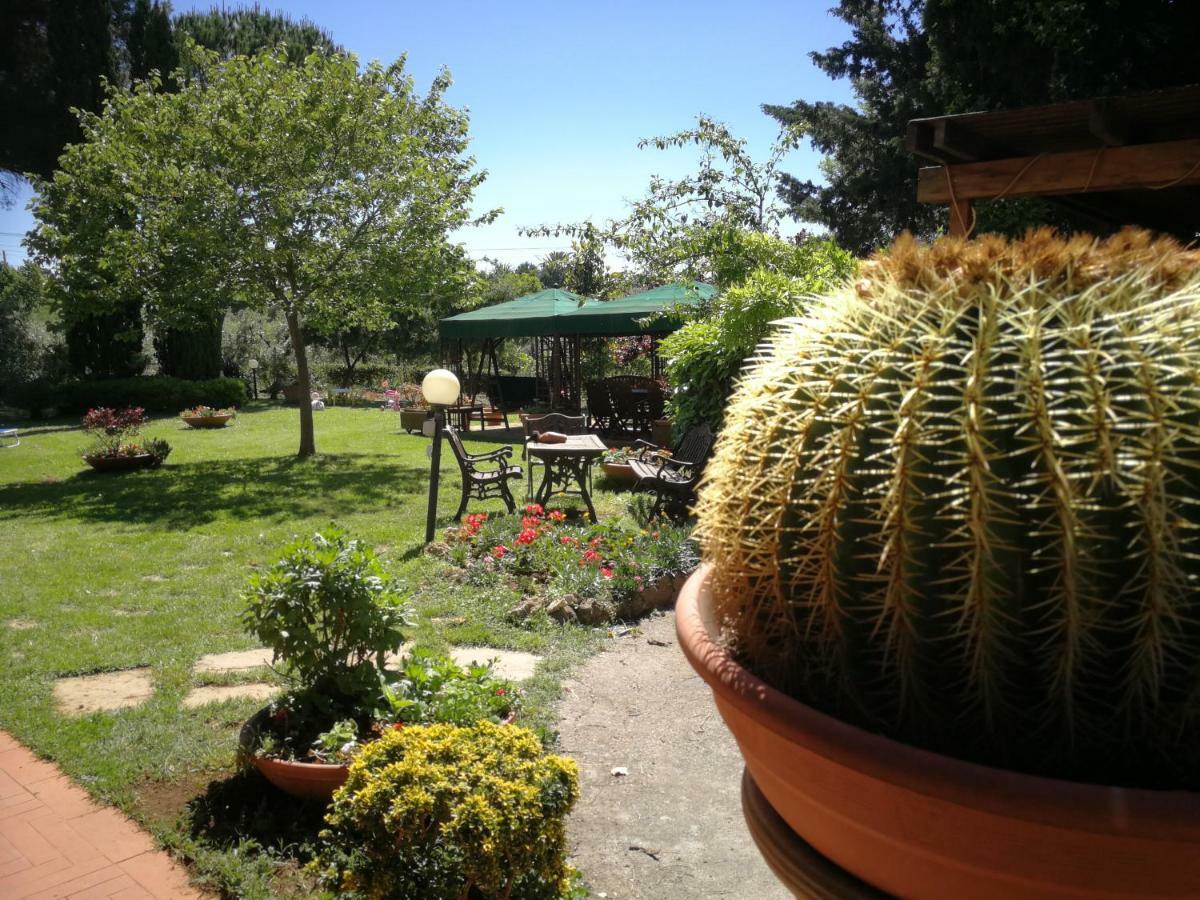 Vacanze Verde Mare - Beggi Casale Marittimo Zewnętrze zdjęcie